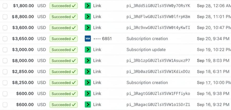Stripe payments log screenshot: $41,100+ processed